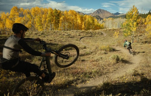 Golden Aspens in Crested Butte